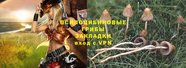 амф Абинск